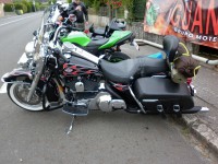 /album/fotogaleria-inicio/fiesta-iguanas-20-5-2011-023-jpg/